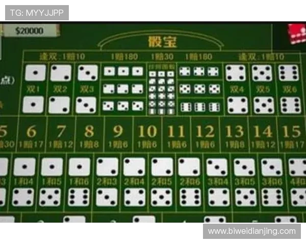 全面解析骰宝赔率计算方式帮助玩家精准把握投注机会