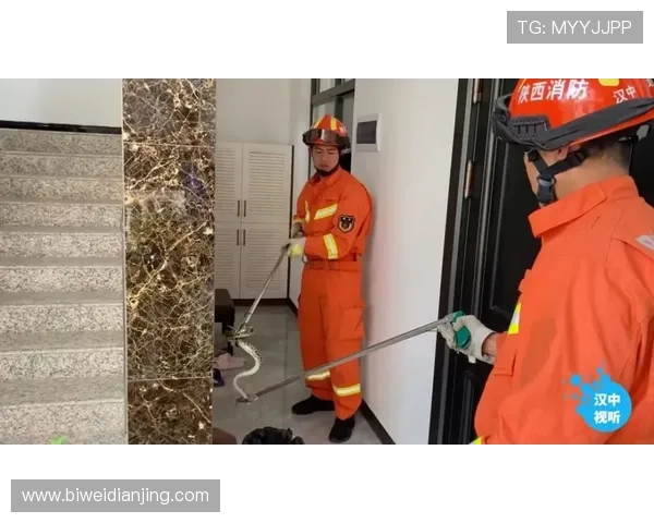 必威网站安全保障措施全面介绍保障用户资金与信息安全