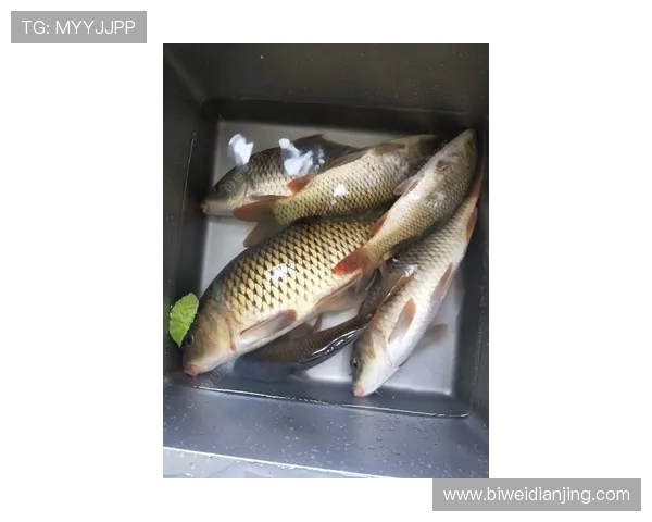 博鱼体育平台客服在节假日与高峰期的服务保障措施