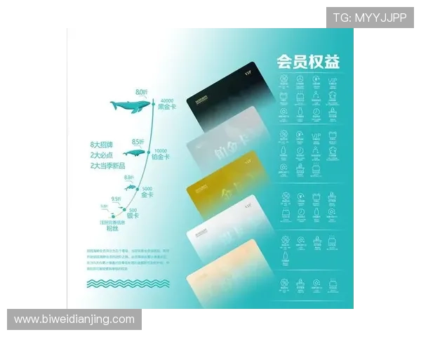 B体育VIP如何快速激活与升级，掌握最新会员权益和优惠活动