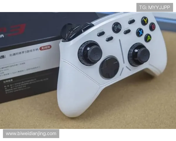 德赢国际版多平台兼容支持，随时随地畅享高品质游戏体验的最佳选择