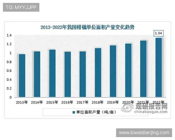 问鼎娱乐：数字化时代下娱乐产业的变革与未来趋势
